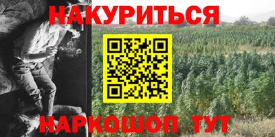 индика Гусь-Хрустальный