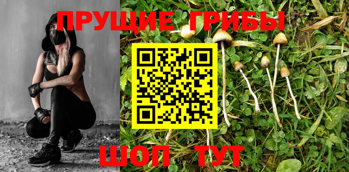 Псилоцибиновые грибы мухоморы Мытищи