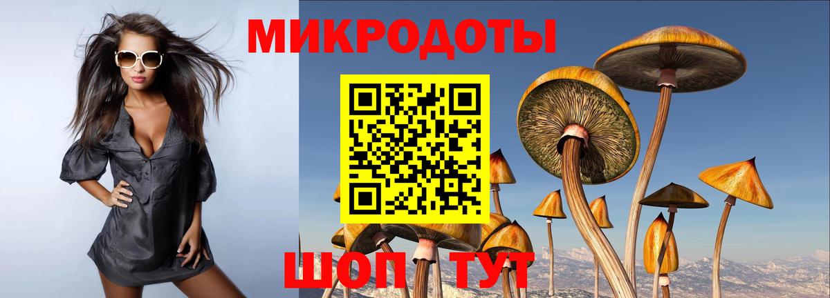Псилоцибиновые грибы GOLDEN TEACHER  Вход с VPN  Галлюциногенные грибы Psilocybe  Мытищи 